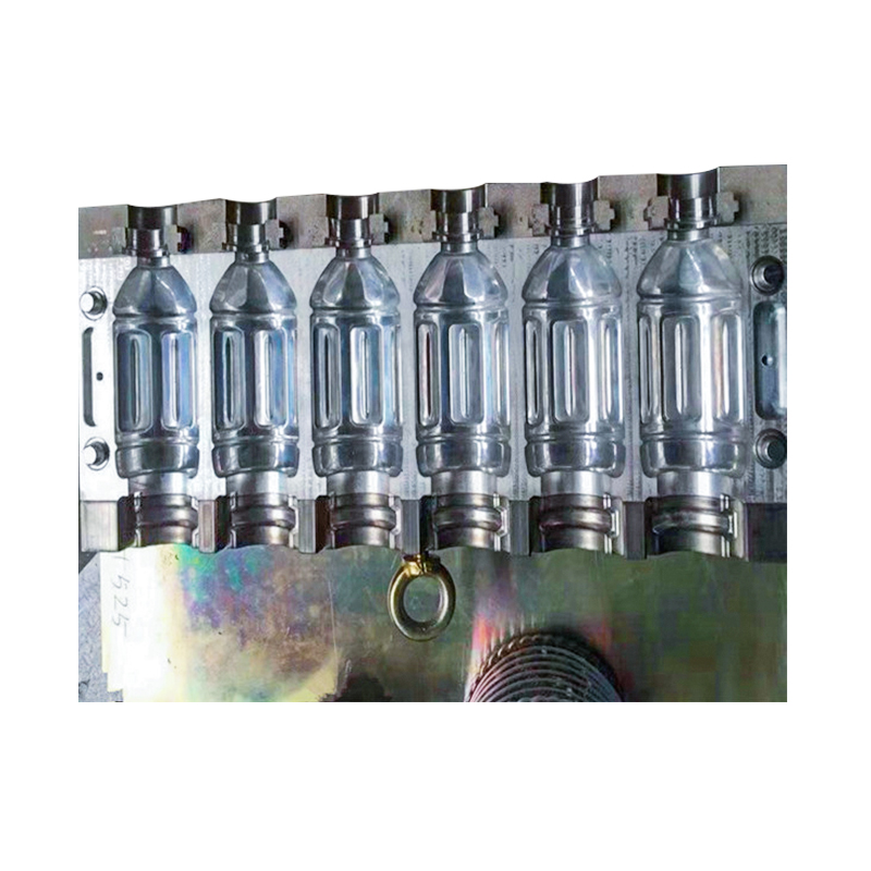 6 Cavity Bottle Mould